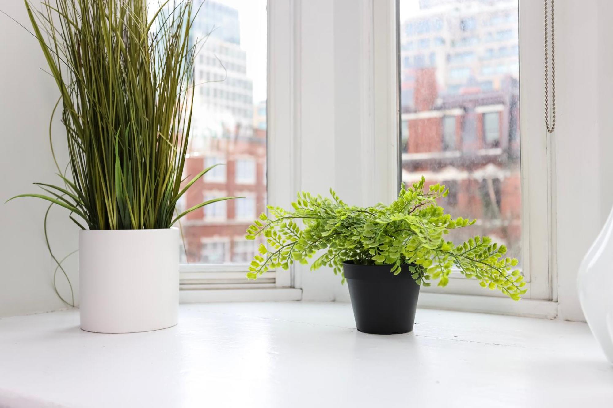 Stylish Studio On Newbury St #3 بوسطن المظهر الخارجي الصورة